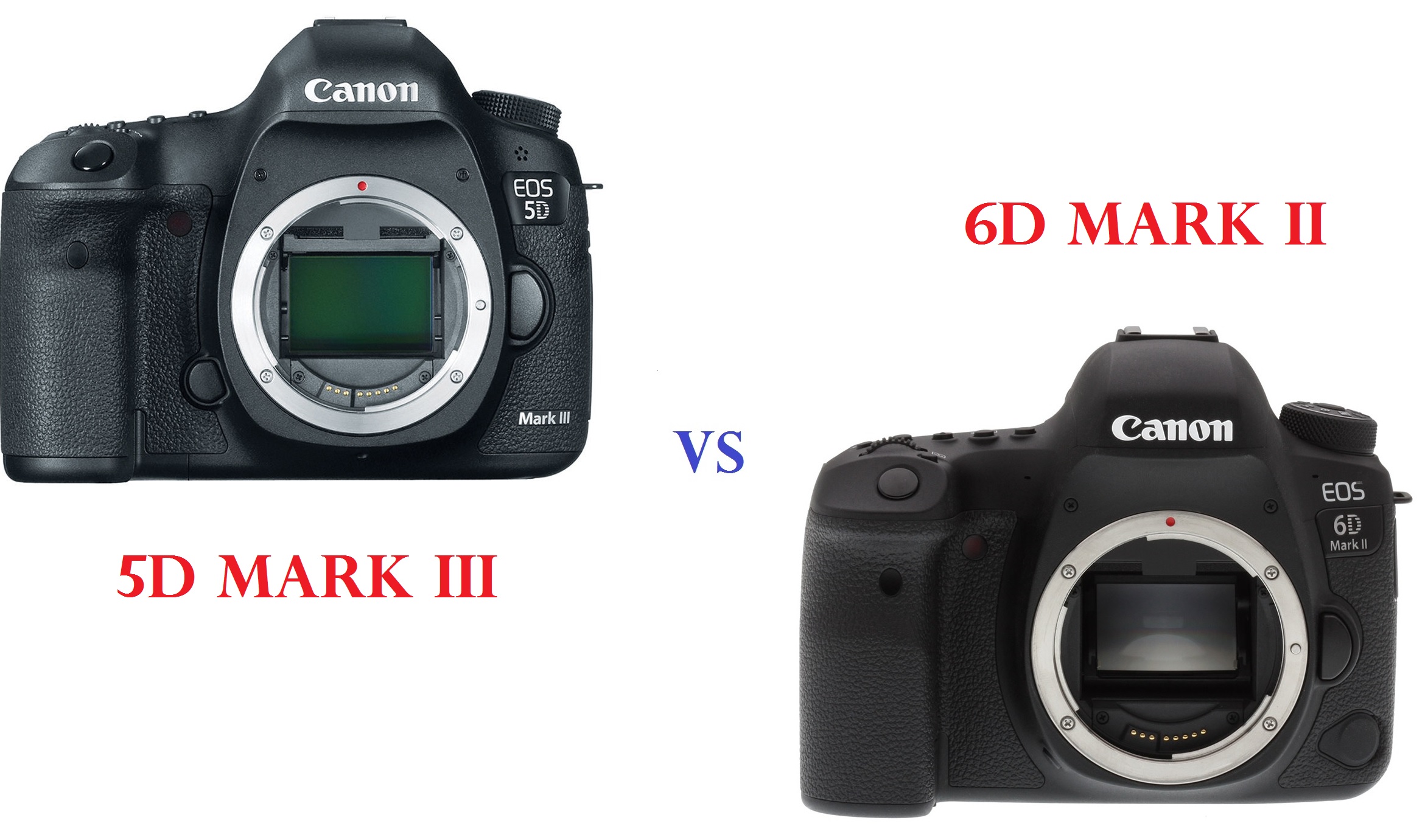 Đánh giá nhanh so sánh 6d2 và 5d3 khả năng chụp ảnh và quay video