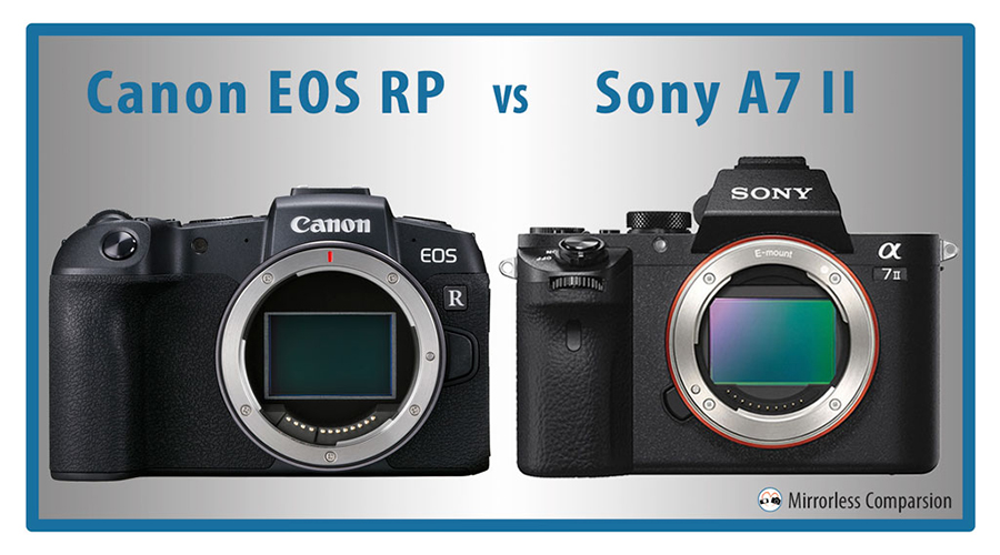 canon-eos-rp-vs-sony-a7ii-preview