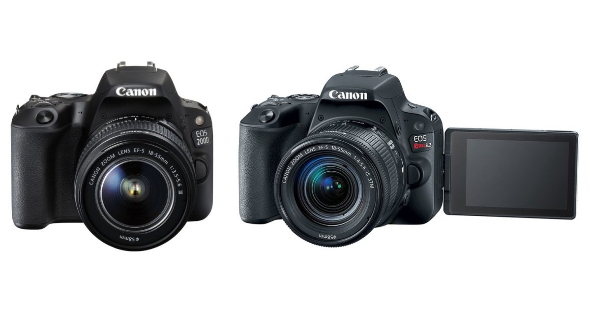Xác nhận Canon EOS Rebel SL3 sẽ được công bố kế tiếp (Mã DS 126761)
