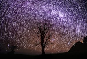 long-exposure-image-of-star-trails-over-silhouette-of-a-tree-sample-photo-by-canon-eos-6d-mark-ii