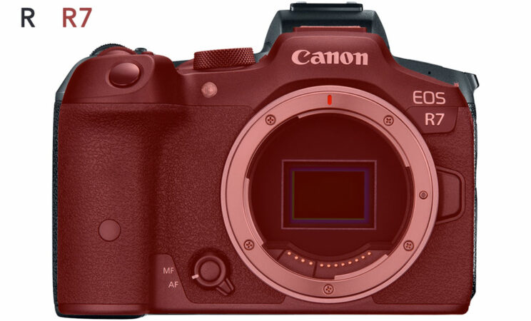 Canon-R7-vs-EOS-R-size-744x450
