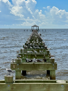 ezgif.com-gif-maker (30)