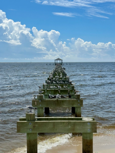 ezgif.com-gif-maker (31)