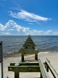 ezgif.com-gif-maker (32)