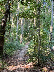 ezgif.com-gif-maker (34)