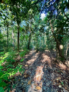 ezgif.com-gif-maker (36)