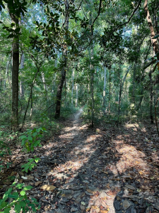 ezgif.com-gif-maker (37)