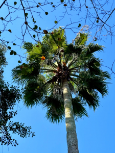 ezgif.com-gif-maker (38)