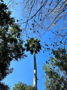 ezgif.com-gif-maker (40)