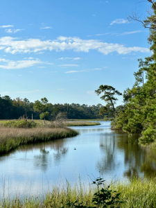 ezgif.com-gif-maker (42)