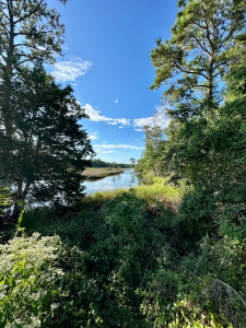 ezgif.com-gif-maker (45)