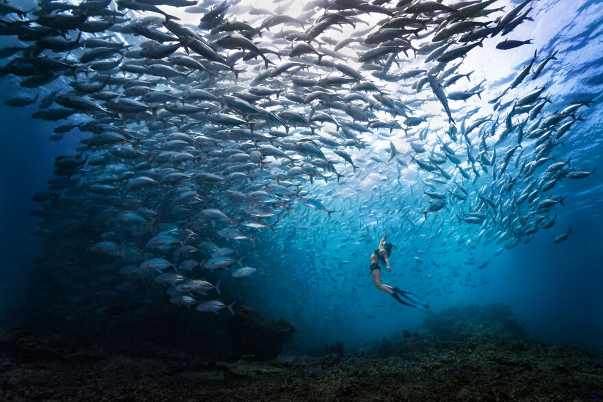 Ocean-Photographer-of-the-Year-2022-Winners-Announced-6347f96af35ef__880