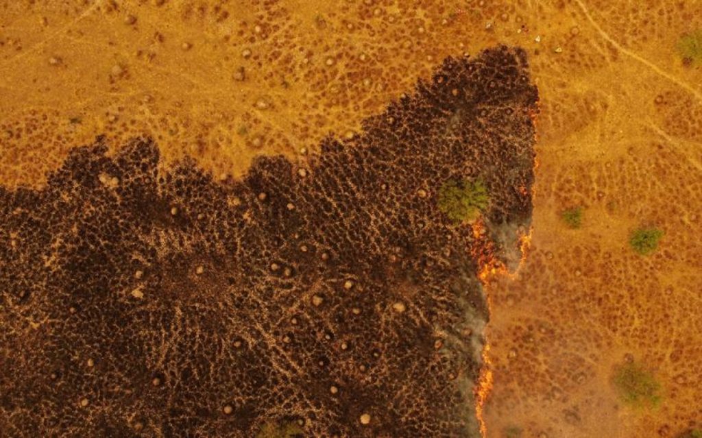 Cháy rừng lan rộng bao phủ hơn 500,000 hecta ở Corrientes, Argentina ngày 15/2. 