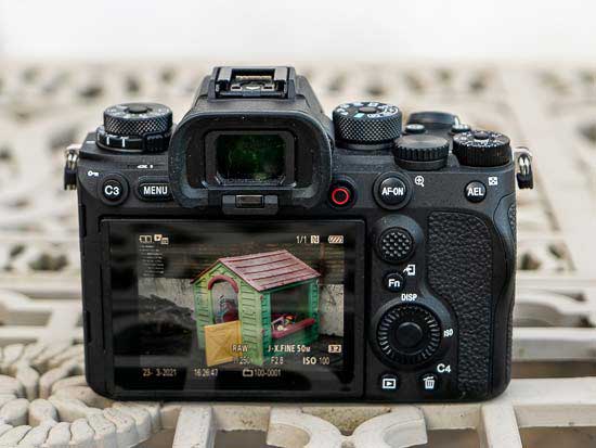 sony_a7r_v_vs_a1_head_to_head_comparison_04