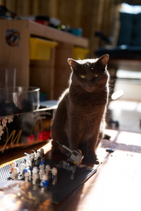 Ảnh: David Schloss @ Peta Pixel