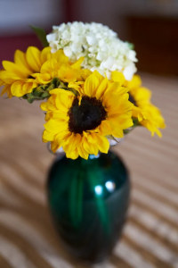 Ảnh: David Schloss @ Peta Pixel