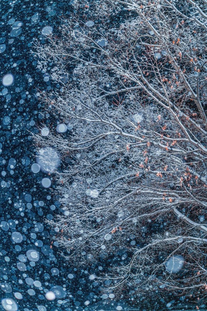 “Winter Story” chụp bởi Takahashi Hiroto | Natural Landscape Photography Awards