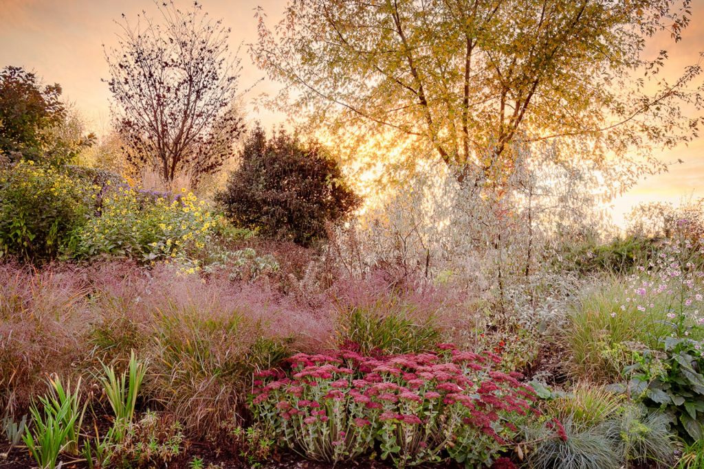 © Annie Green-Armytage — Beautiful Gardens / International Garden Photographer of the Year (IGPOTY)