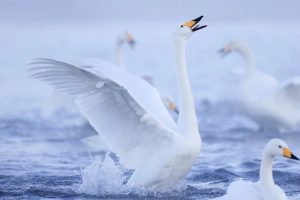 infobank-exposure-compensation-1a_5b89e93f96ec402aa2552a4f96241ecb