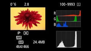 Đây là ví dụ về mức độ hữu ích của các histogram kênh màu: histogram độ chói ở cuối màn hình cho thấy độ phơi sáng tổng thể của hình ảnh là ổn, nhưng histogram kênh màu đỏ cho thấy một số màu đỏ đậm nhất trong bông hoa đang bị cắt bớt.