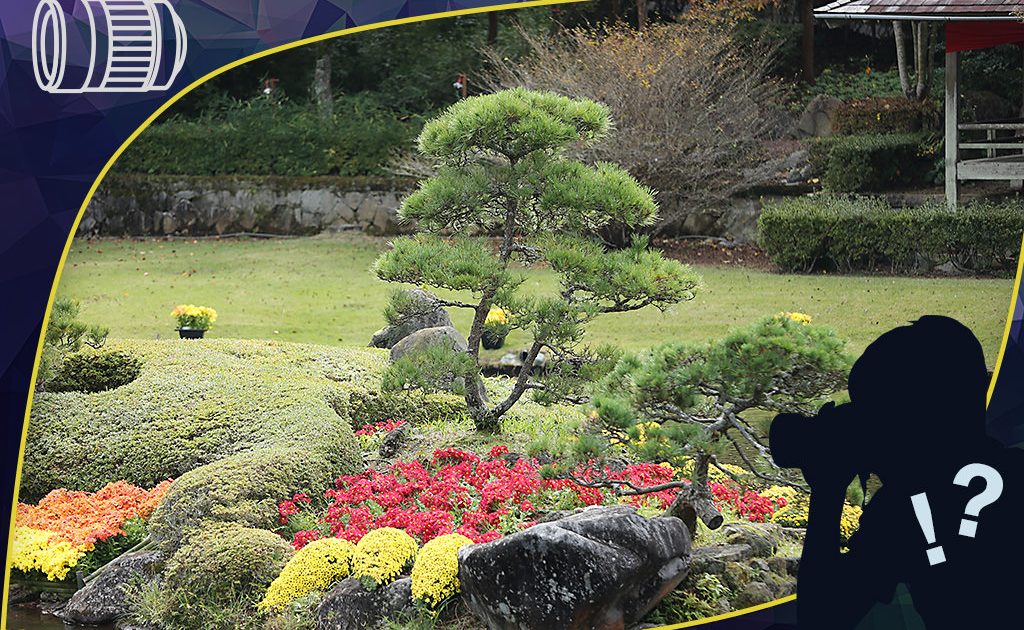 ef-70-200mm-f-2-8l-is-ii-usm-sample_1324