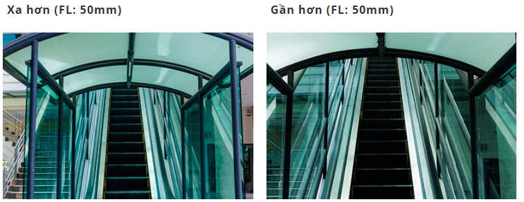 lens-basics-perspective_1