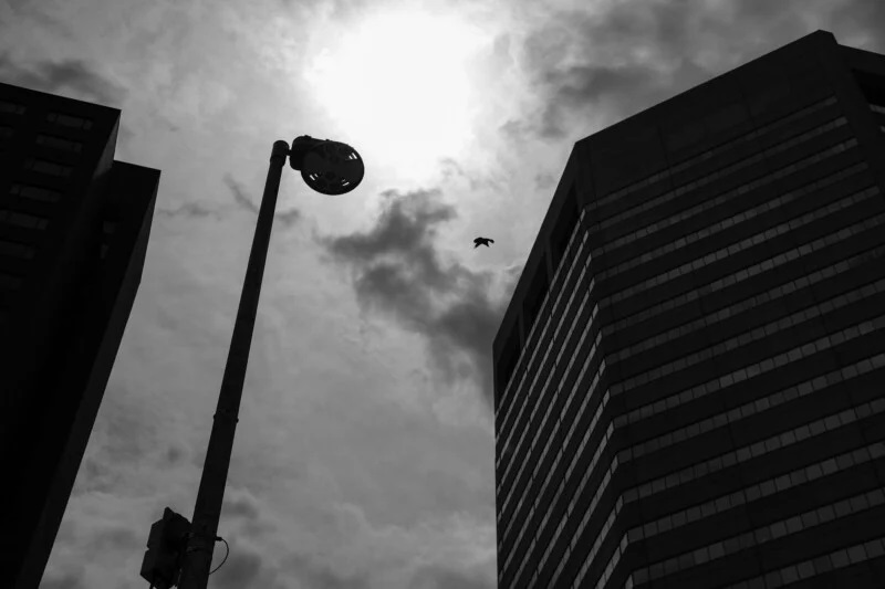 Cấu hình Fujifilm Monochrome cũng rất được ưa chuộng. | Ảnh: Petapixel