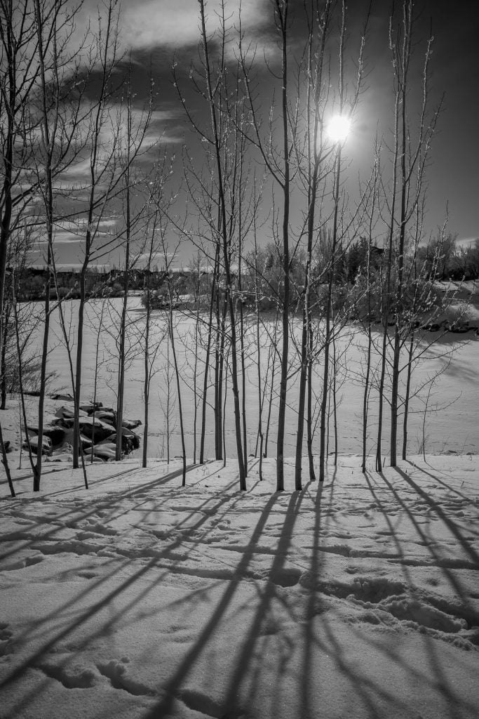 Các cấu hình đen trắng tuyệt đẹp, độ chi tiết rất tuyệt vời. | Ảnh: petapixel