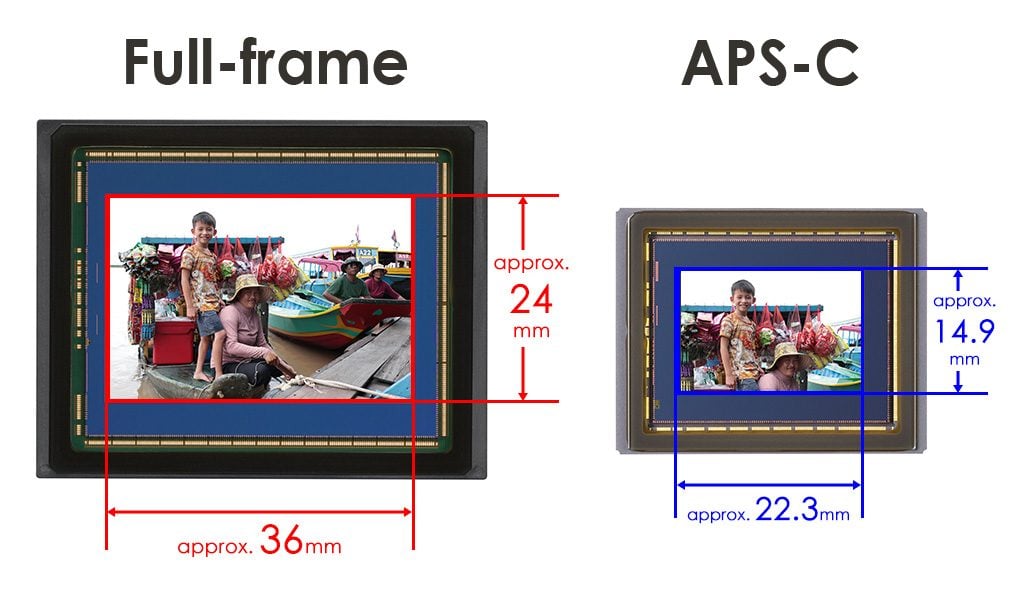 eos-r8-mark-ii-announcement_2628-06