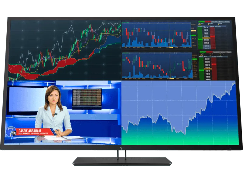 HP Z43 42.5-inch 4K UHD Display (Chính hãng)
