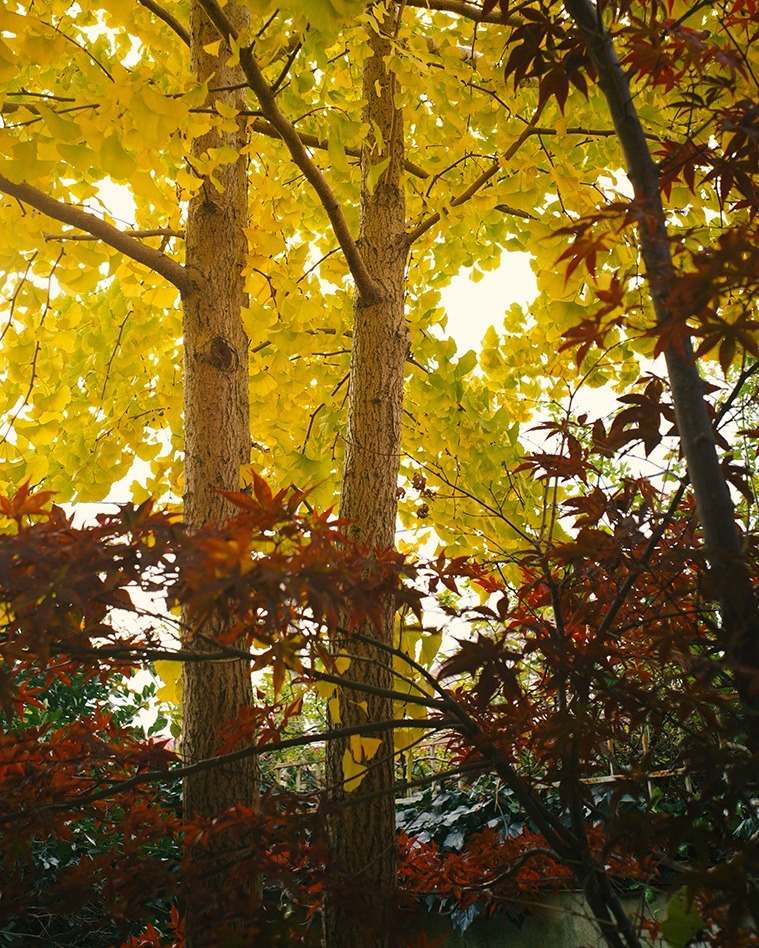 Viltrox AF 28mm f/4.5 Sony E (Chính hãng)