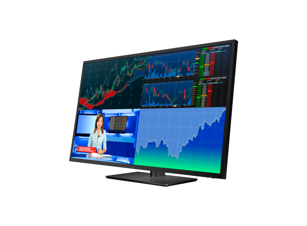 HP Z43 42.5inch 4K UHD Display (Chính hãng)