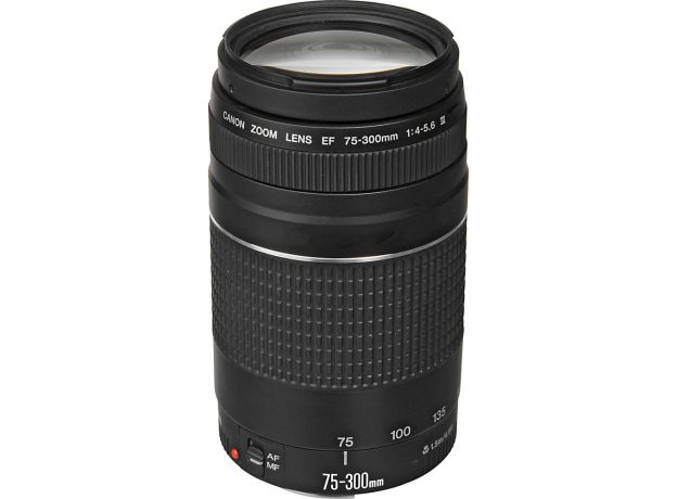 Canon EF 75-300mm f/4-5.6 / Mới 95%